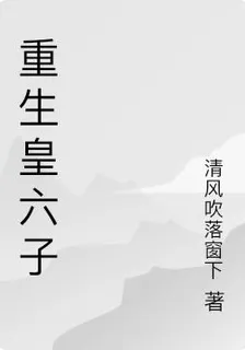 重生皇六子 封面