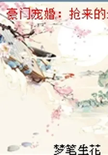 豪門寵婚：搶來的新娘年思梅張曉西 封面