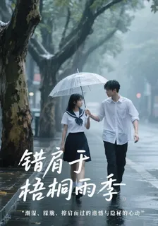 錯肩於梧桐雨季 封面