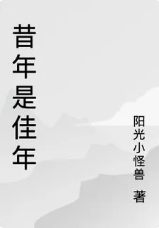 昔年是佳年 封面