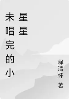 未唱完的小星星 封面