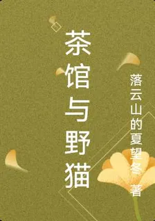 茶館與野貓 封面