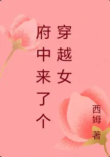 府中來了個穿越女 封面