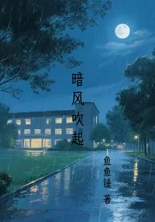 暗風吹起 封面