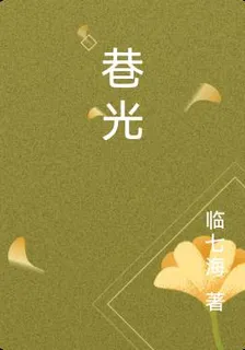 巷光 封面