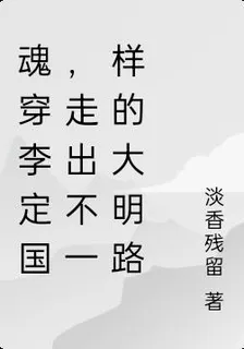 魂穿李定國，走出不一樣的大明路 封面