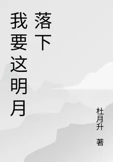 我要這明月落下 封面