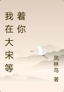 我在大宋等着你 封面