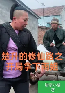 楚升的修仙路之開局拿下雨姐 封面