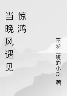 當晚風遇見驚鴻 封面
