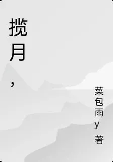 攬月， 封面