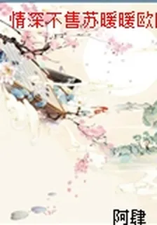 情深不售蘇暖暖歐陽錦 封面