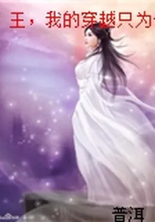 王，我的穿越只爲你 封面