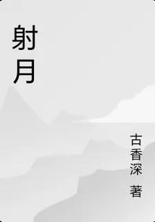 射月 封面