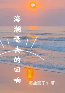 海潮退去的迴響 封面