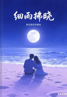 細雨拂曉 封面