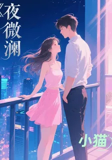夜微瀾 封面