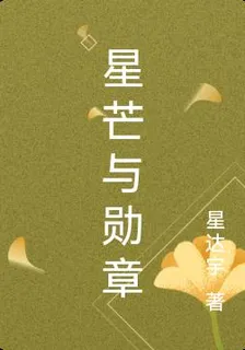 星芒與勳章 封面