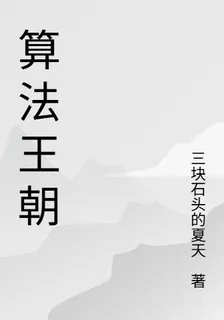 算法王朝 封面