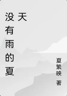 沒有雨的夏天 封面