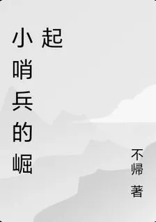 小哨兵的崛起 封面