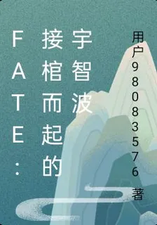 fate：接棺而起的宇智波 封面