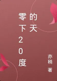 零下20度的天 封面