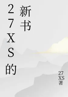 27XS的新書 封面