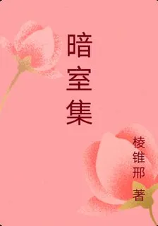 暗室集 封面