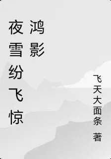 夜雪紛飛驚鴻影 封面