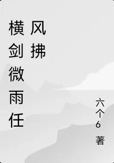 橫劍微雨任風拂 封面