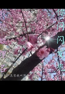 我隱姓埋名你閃閃發光 封面