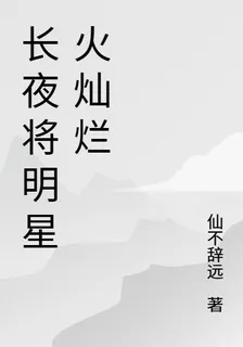 長夜將明星火燦爛 封面