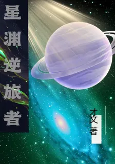 星淵逆旅者 封面