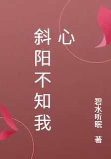 斜陽不知我心 封面
