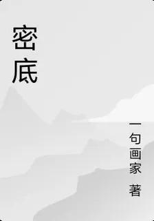 密底 封面