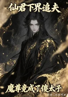 仙君下界追夫，魔尊竟成了傻太子 封面