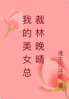 我的美女總裁林晚晴 封面