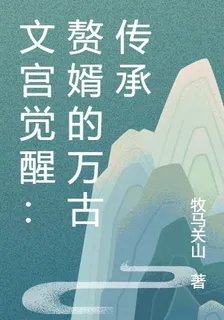 文宮覺醒：贅婿的萬古傳承 封面