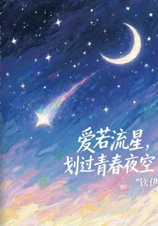 愛若流星，劃過青春夜空 封面