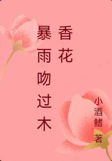 暴雨吻過木香花 封面