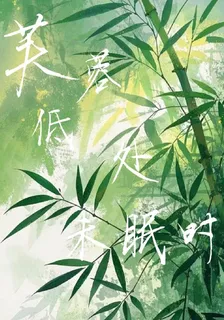 芙蓉低處未眠時 封面