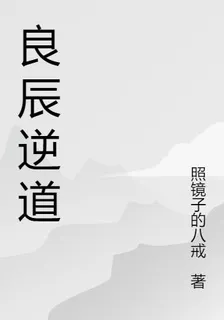 良辰逆道 封面