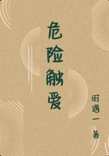 危險觸愛 封面