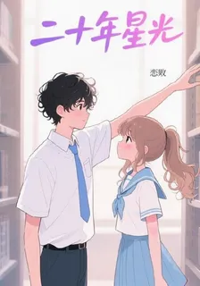 二十年星光 封面