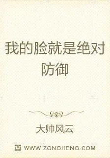 我的臉就是絕對防禦 封面