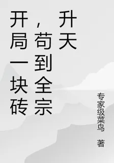 開局一塊磚，苟到全宗昇天 封面