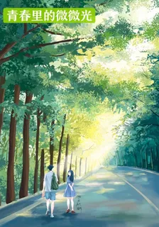 青春裏的微微光 封面