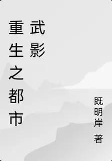 重生之都市武影 封面