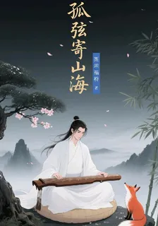 孤弦寄山海 封面